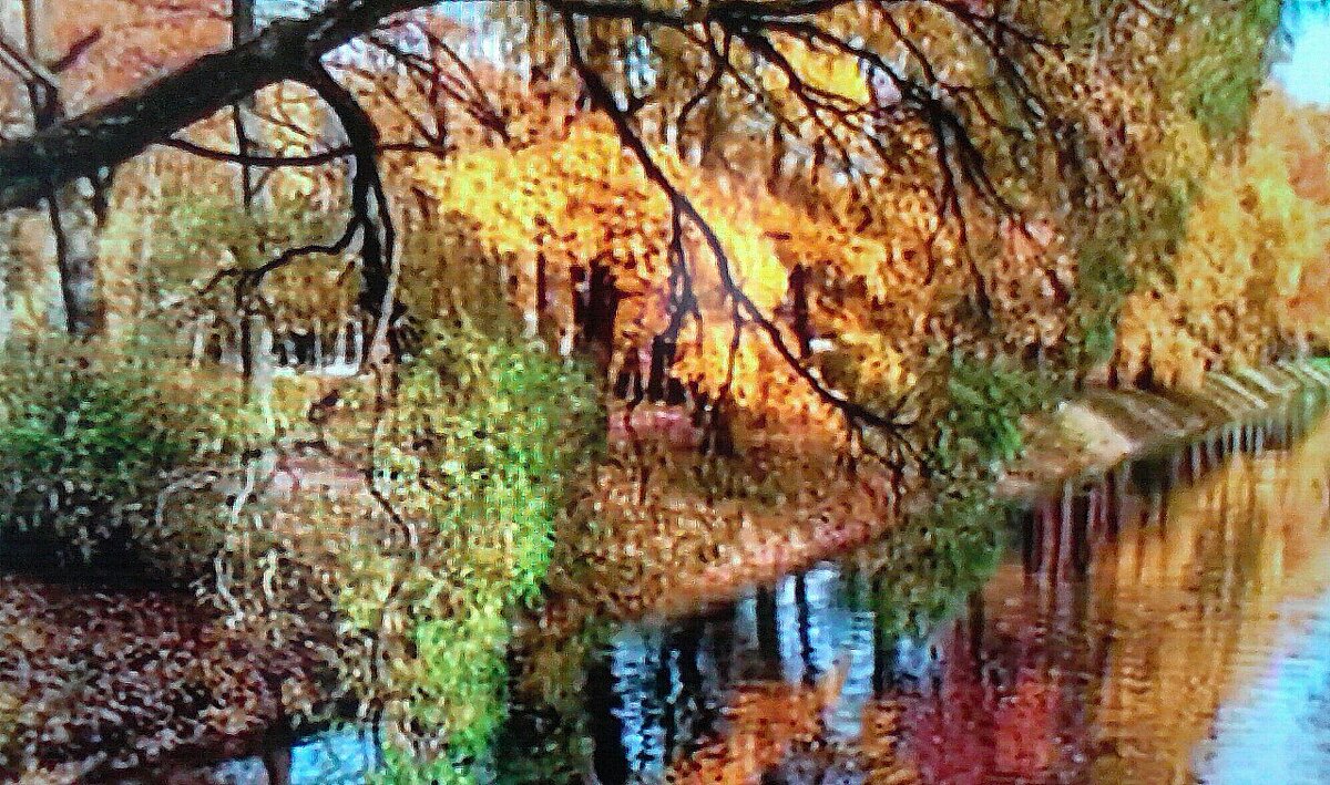 Пуантилизм в природе - Виктор  /  Victor Соболенко  /  Sobolenko