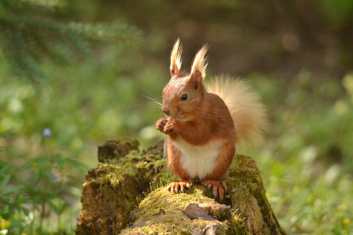 Просто хороший день - Солоненко Лидия Просто хороший день - Солоненко Лидия