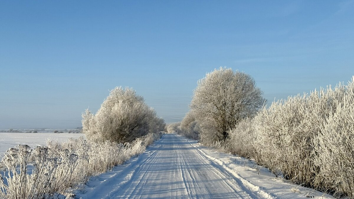 Мороз и солнце... - Евгений С