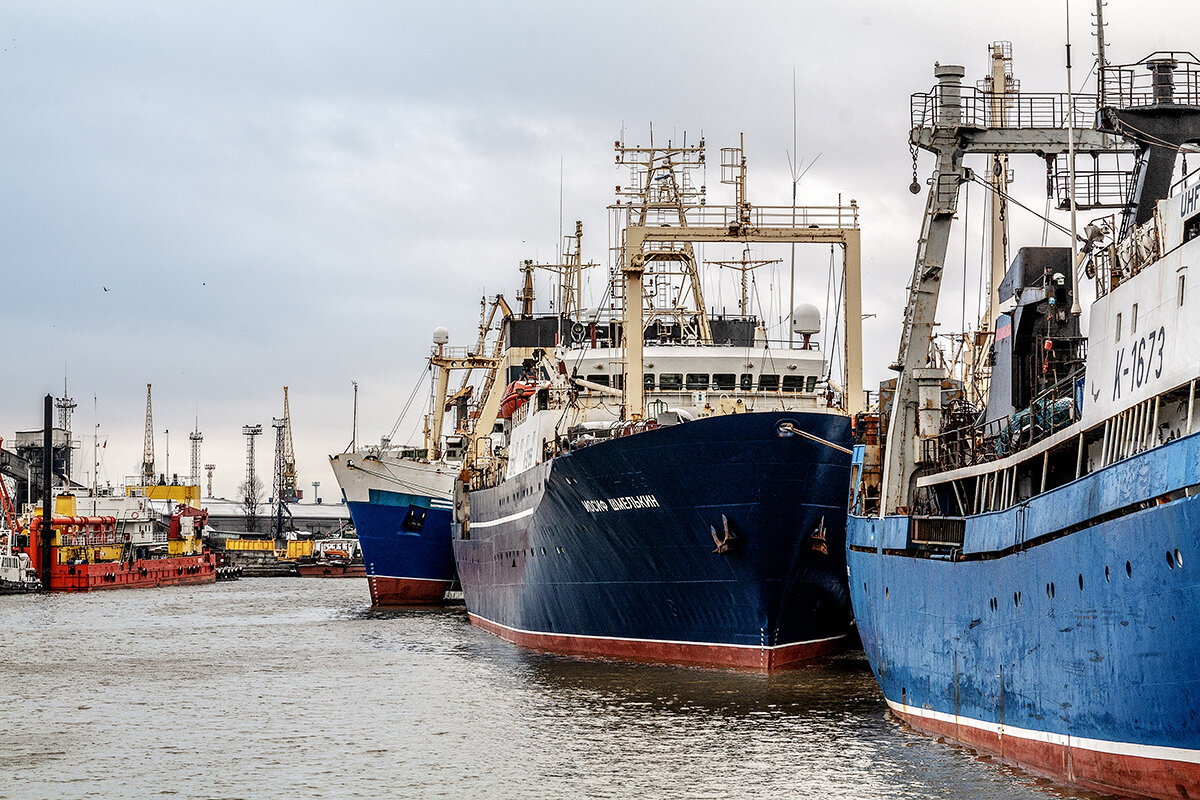 Калининград - Дмитрий Калининград - Дмитрий