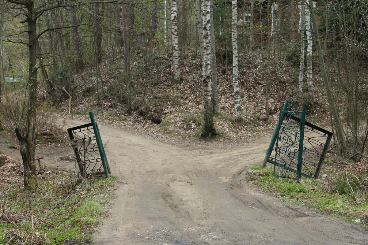 Юкки - Елена Минина Юкки - Елена Минина