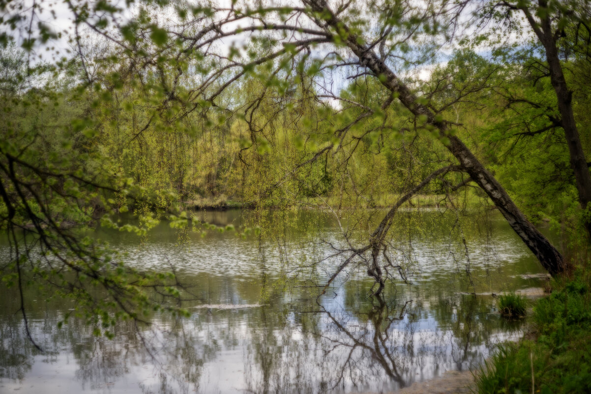 Сказочное озеро - sorovey Sol Сказочное озеро - sorovey Sol