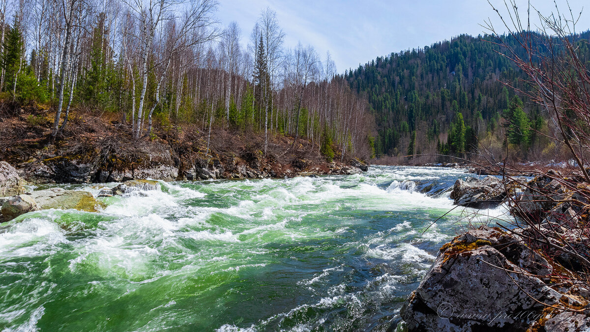 Весенние воды Казыра. - Евгений Голубев