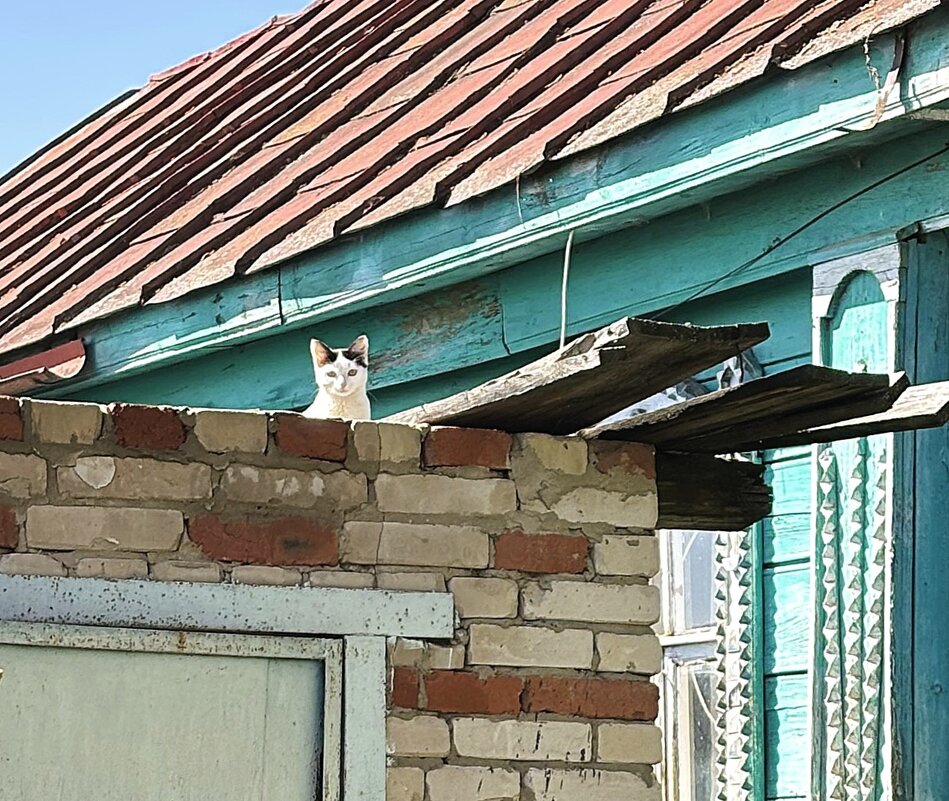 На страже - Мария - Maria На страже - Мария - Maria