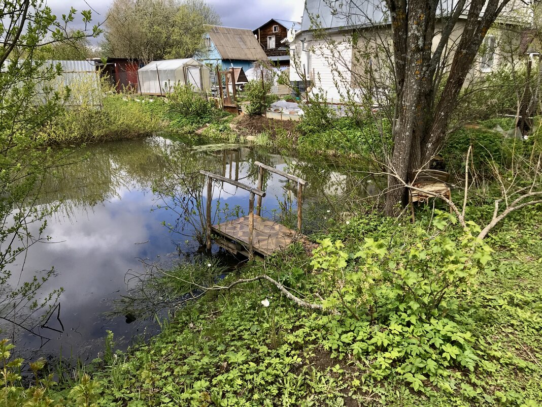 Дачный водоём - Любовь 