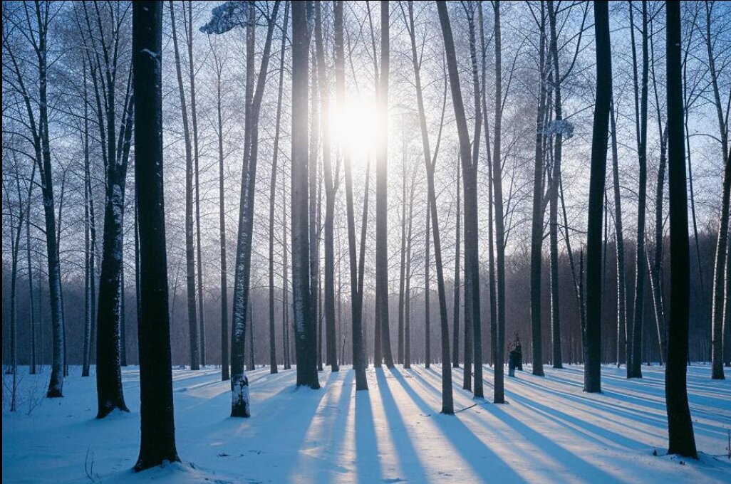 ИИ фрагменты - Роман Савоцкий