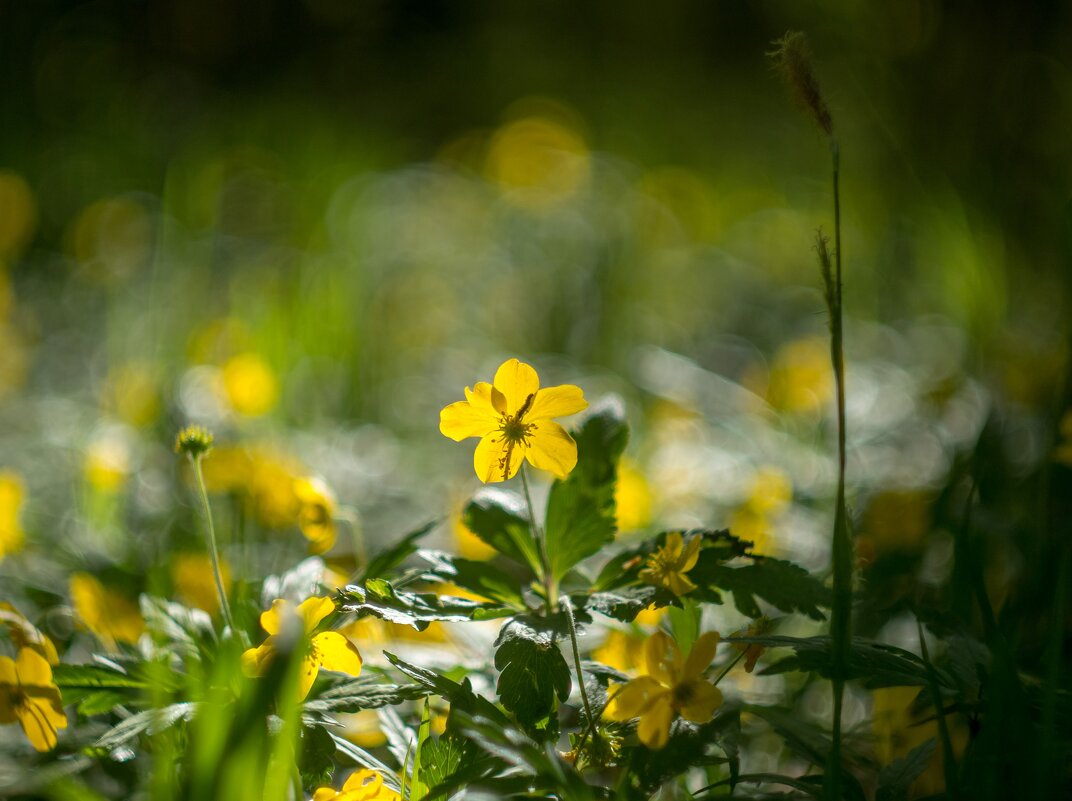 ___ - Yuriy V ___ - Yuriy V