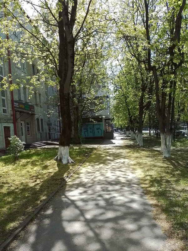 *** - Валентина Береснева