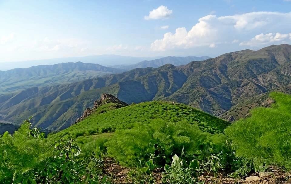 НАШИ ПРОГУЛКИ. - Виктор Осипчук НАШИ ПРОГУЛКИ. - Виктор Осипчук