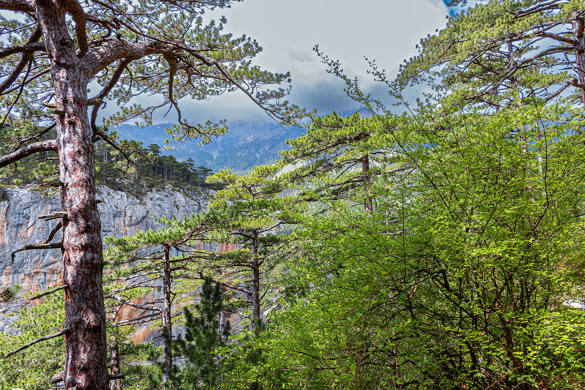Облака закрыли горы - Юрий Яловенко Облака закрыли горы - Юрий Яловенко