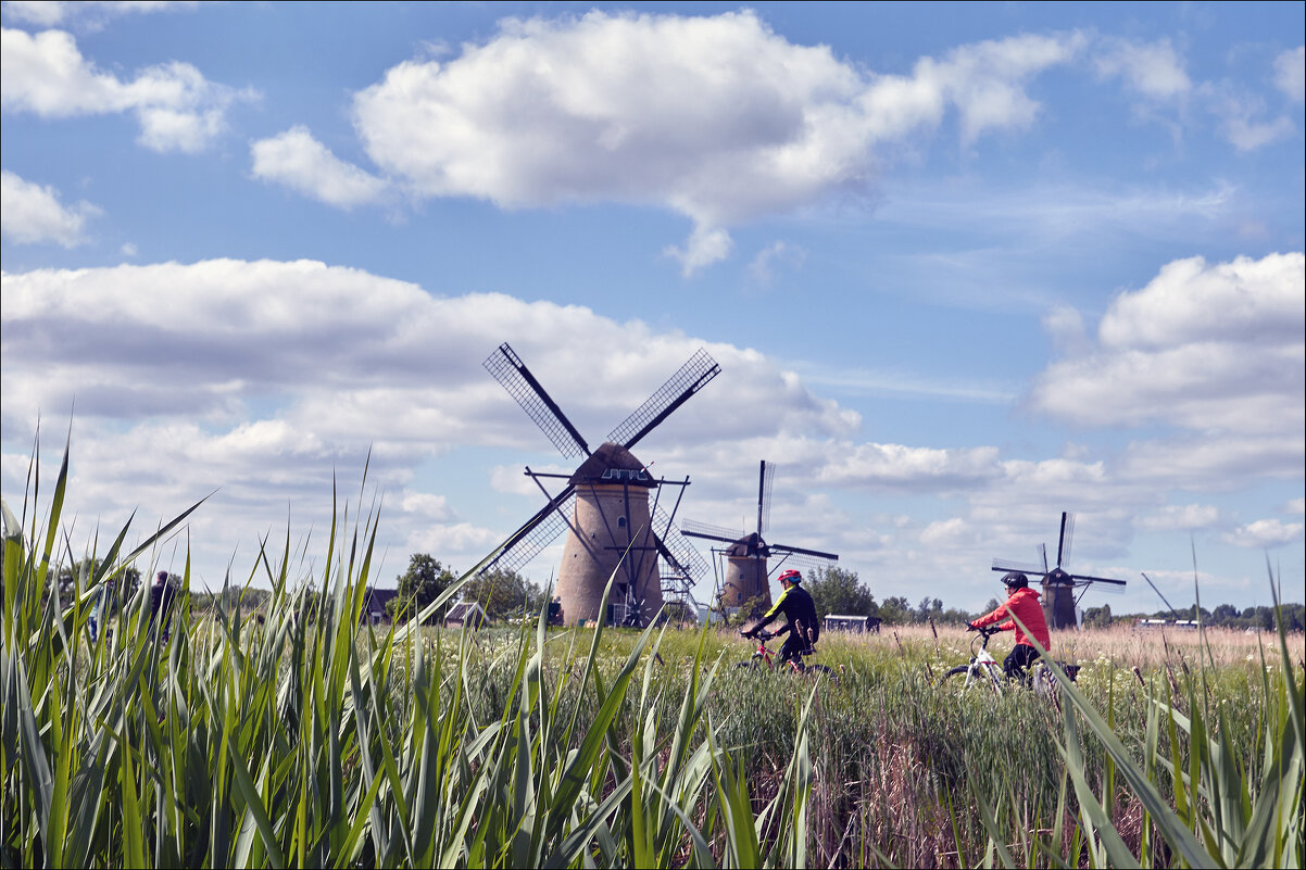 Голландия - Валерий Готлиб Голландия - Валерий Готлиб