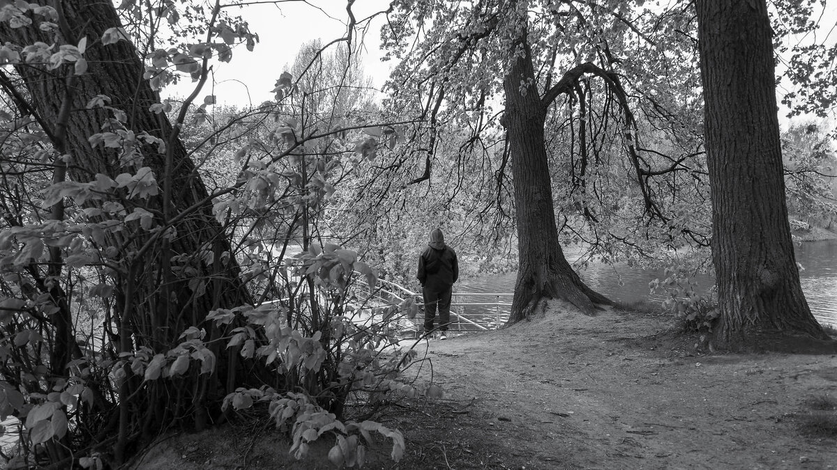 ***** - юрий поляков