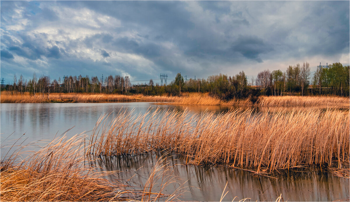 *** - Алексей Мезенцев