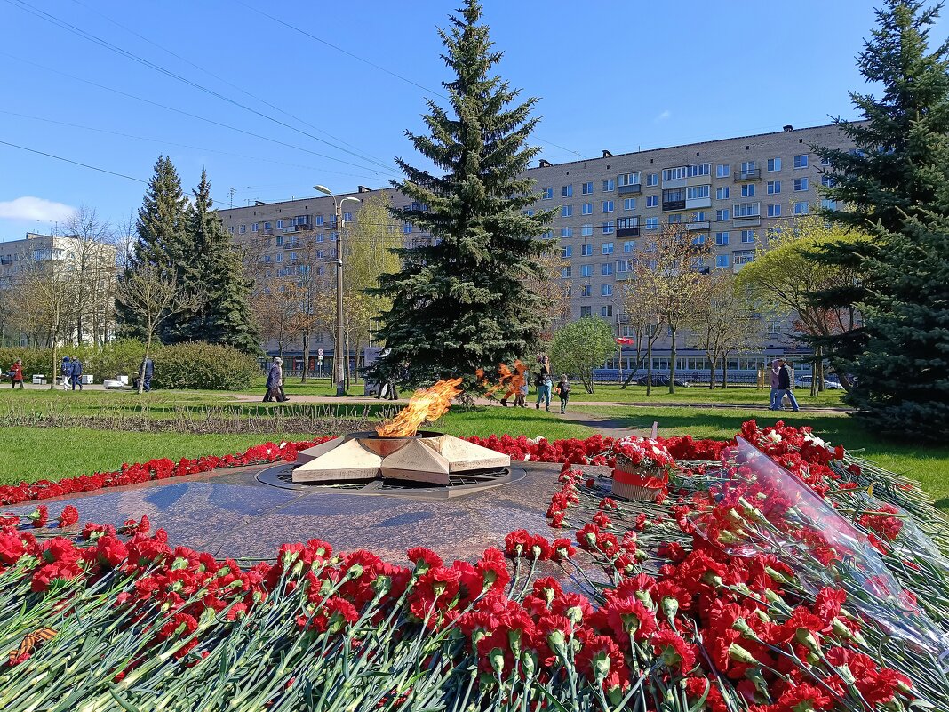 Памяти погибших... - Мария Васильева