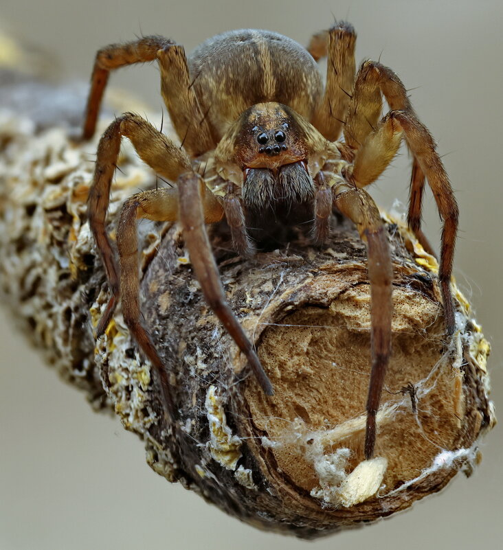 . - Игорь Осипов