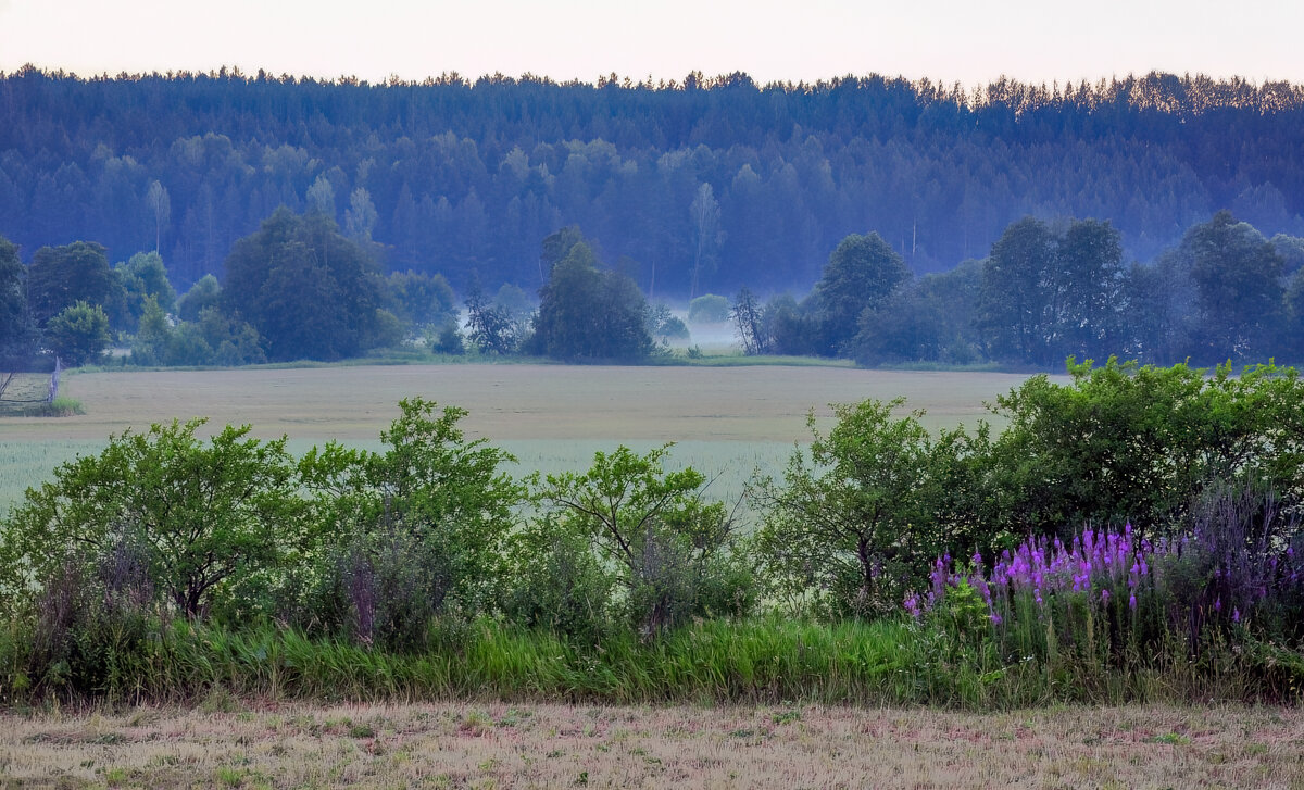 Утро - **** vedin