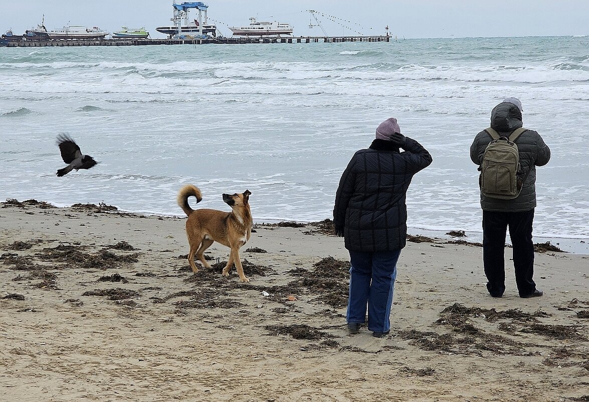 Ничего не понятно, но очень интересно! - Светлана 13.06.