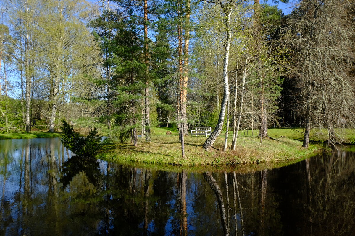 Михайловское, Остров уединения - Олег Зоркий Михайловское, Остров уединения - Олег Зоркий
