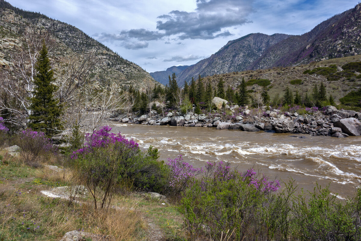 Весенняя Катунь. - Марина Юдинских