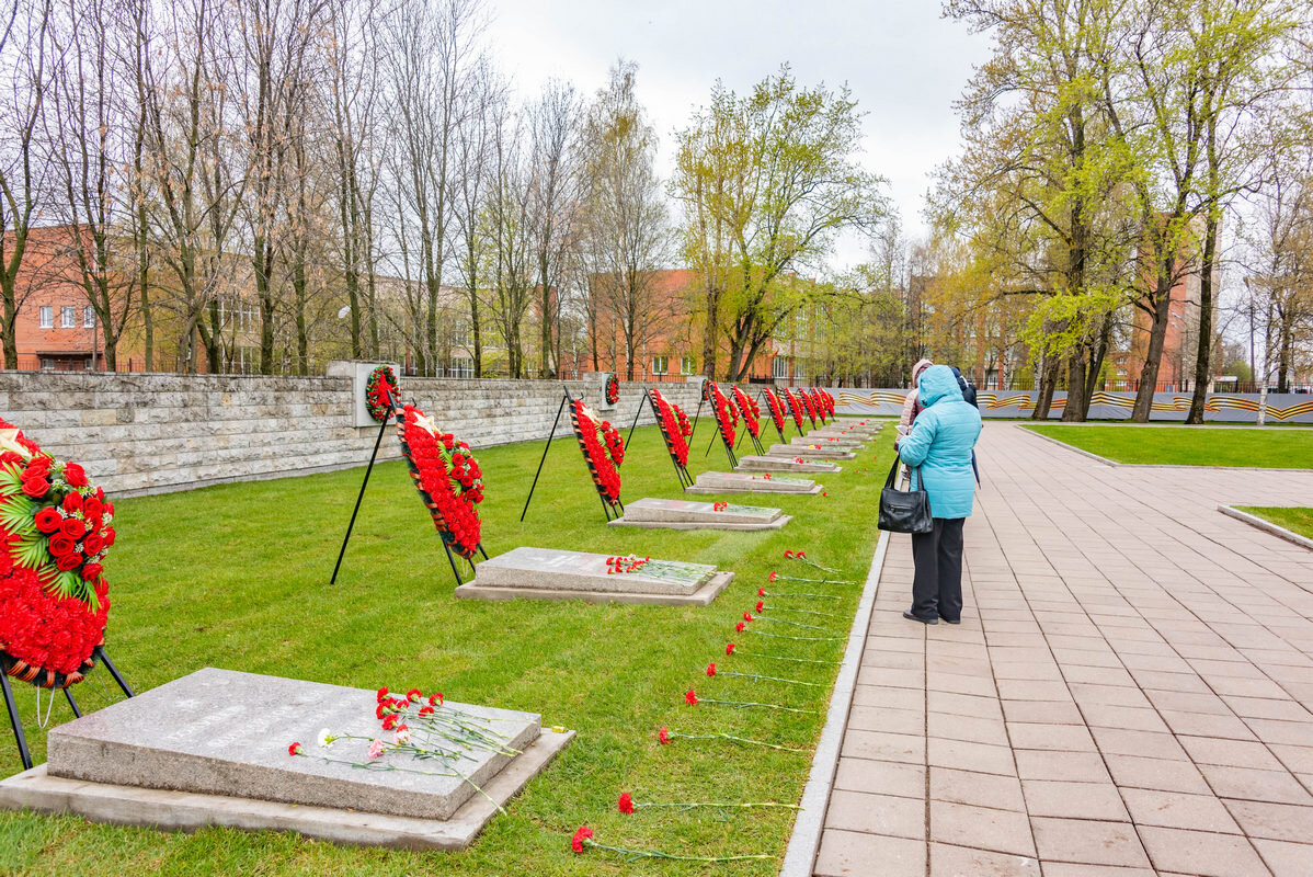 *** - Дмитрий Лупандин *** - Дмитрий Лупандин