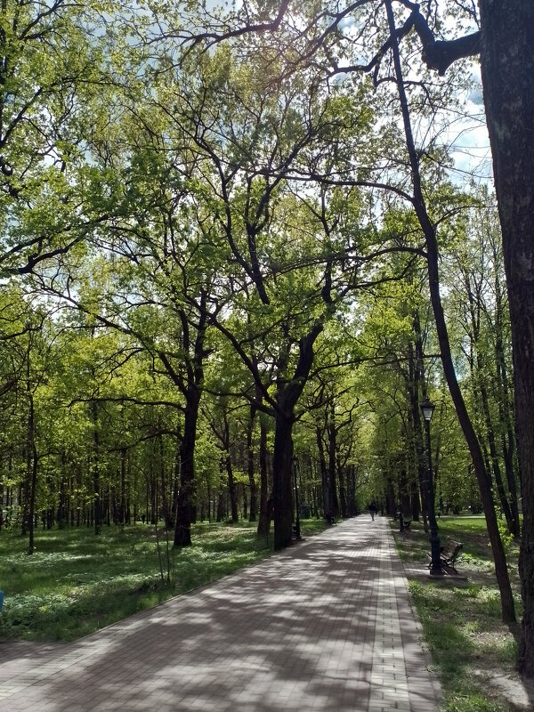 *** - Валентина Береснева *** - Валентина Береснева