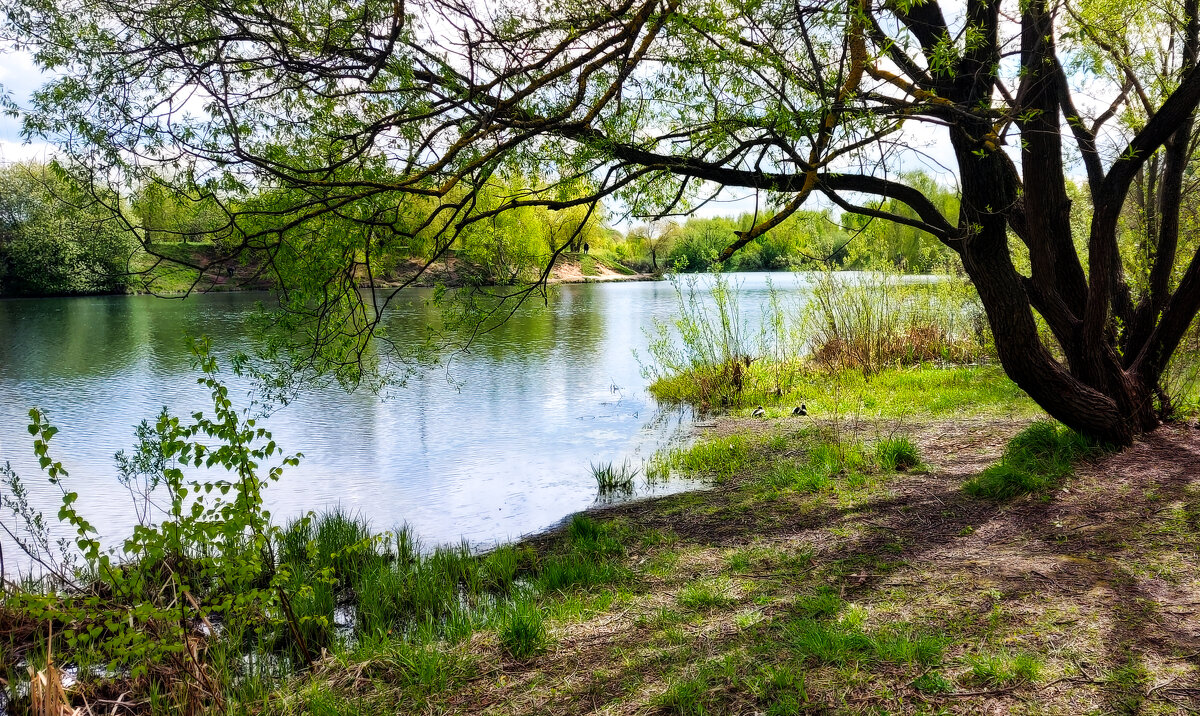 Май. - Владимир Безбородов