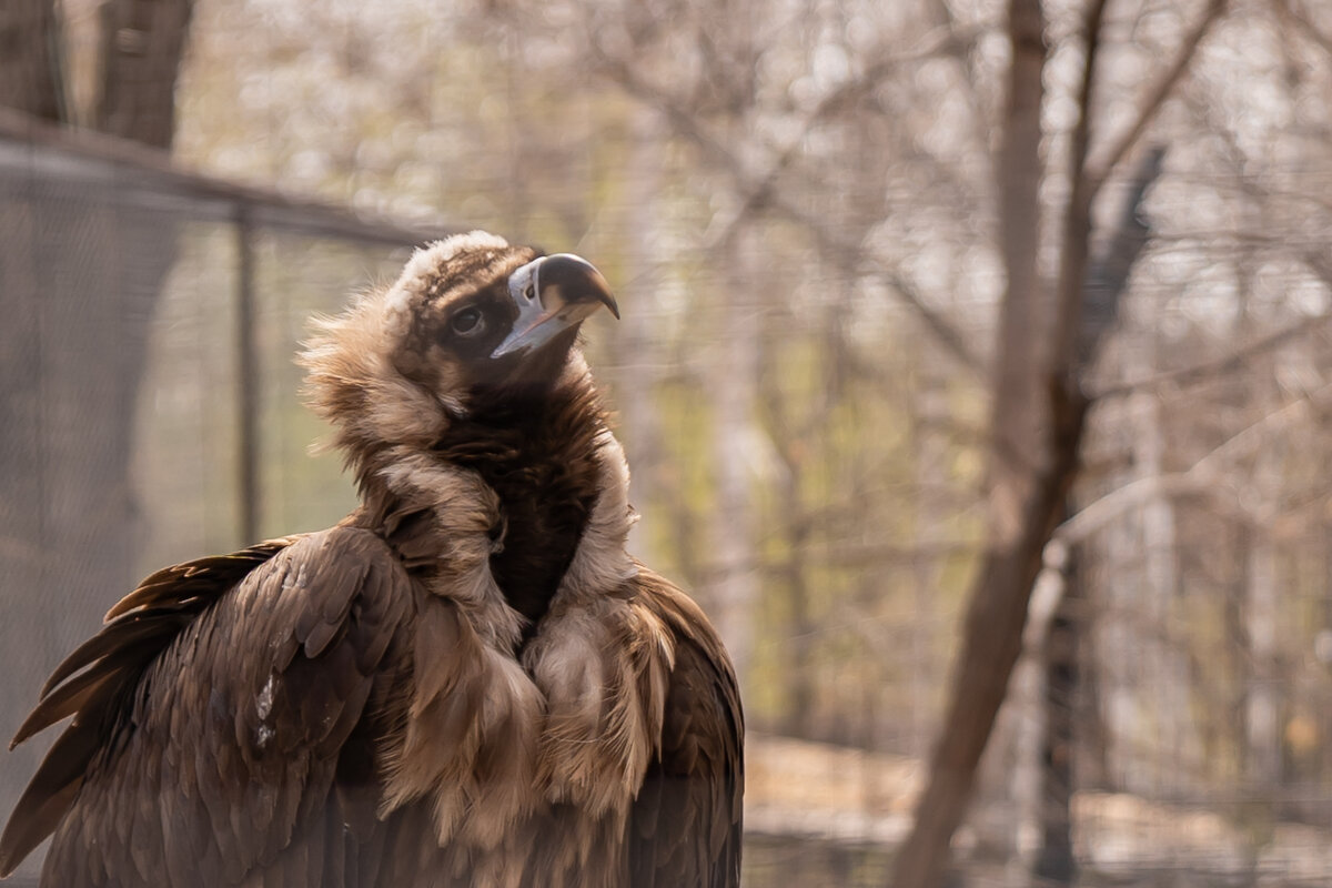 Мечты о лете - Сергей Флетчер