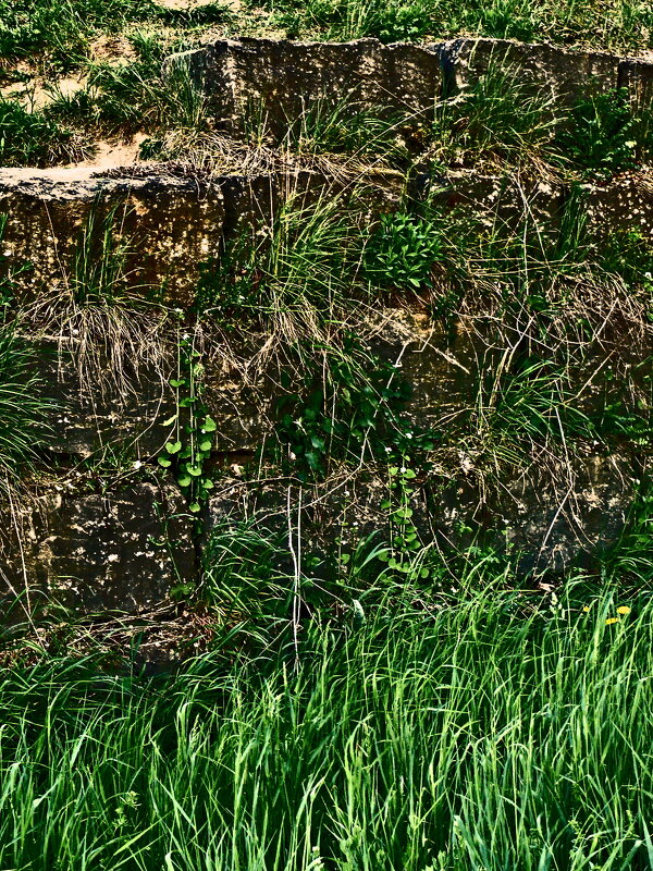 Весенние зарисовки 126 - Алексей Кузнецов