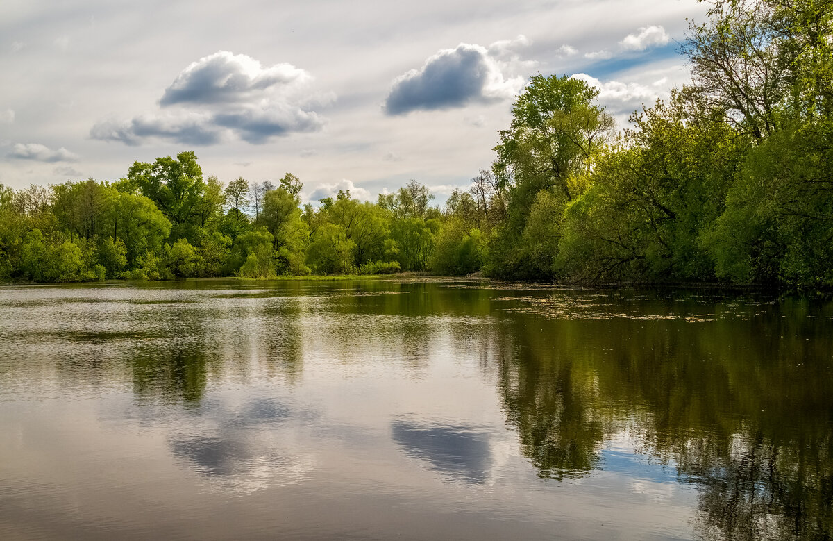 Майский вечер - Андрей Дворников