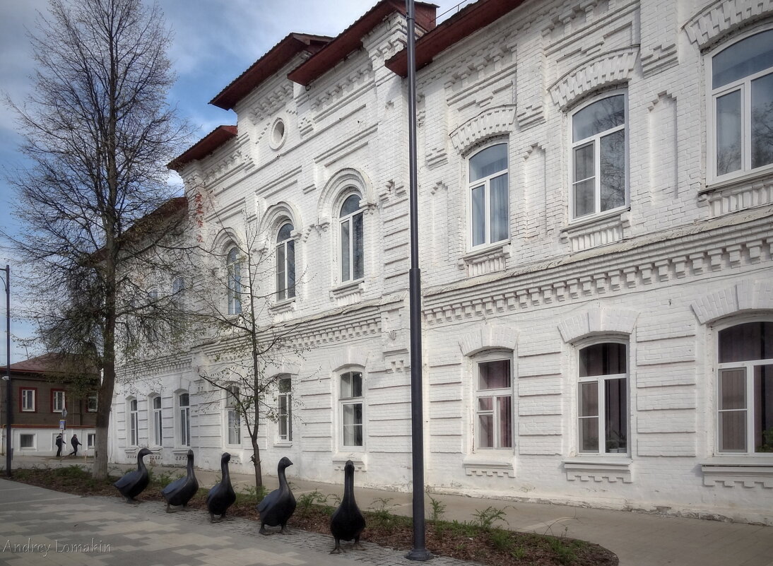 Арзамасские гуси - Andrey Lomakin Арзамасские гуси - Andrey Lomakin