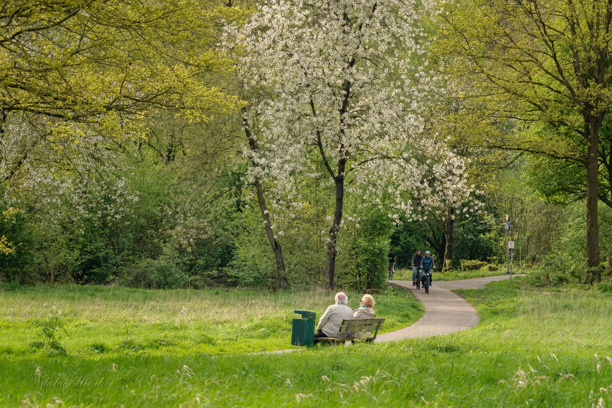 Наслаждаясь весной... - Николай Гирш