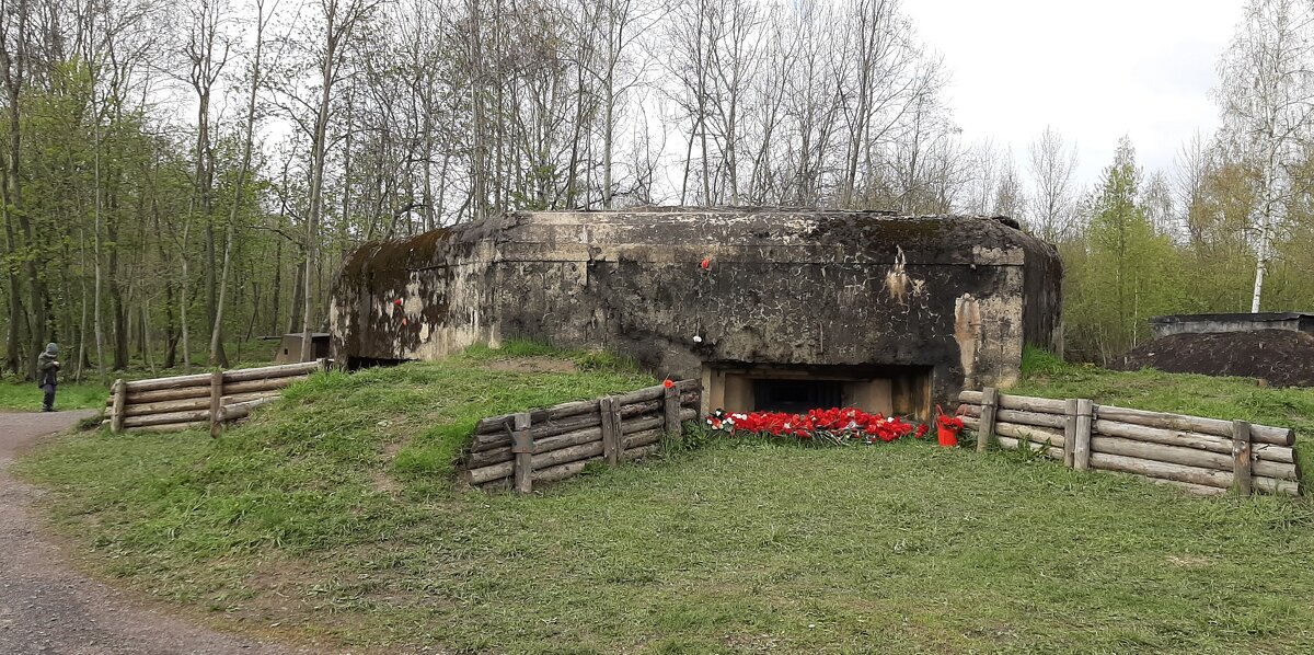 ДОТ N204 - Наталья Герасимова ДОТ N204 - Наталья Герасимова