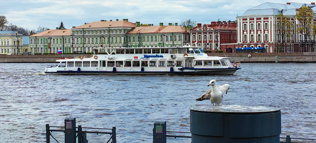 Когда не хватает порядка в акватории - Стальбаум Юрий Когда не хватает порядка в акватории - Стальбаум Юрий