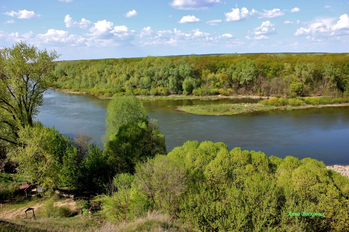 Май на Хопре. - Восковых Анна Васильевна 
