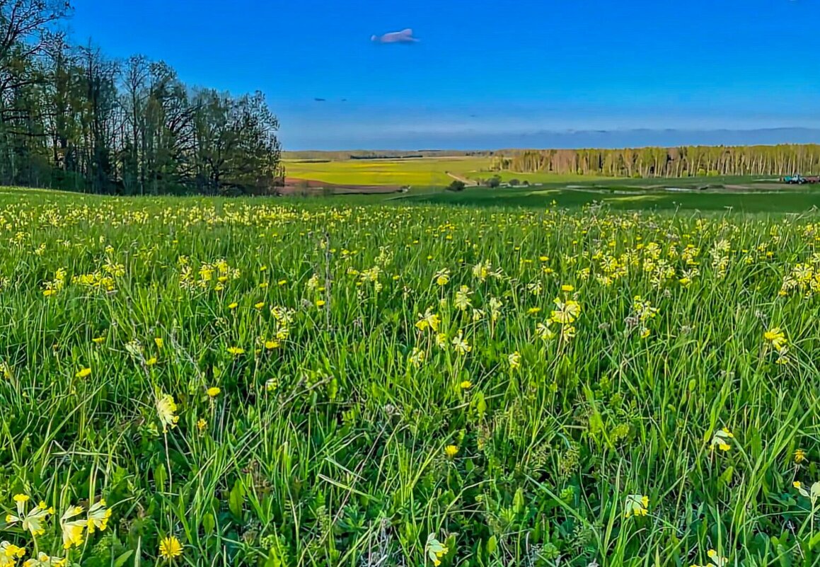 Spring 100525 m - Arturs Ancans