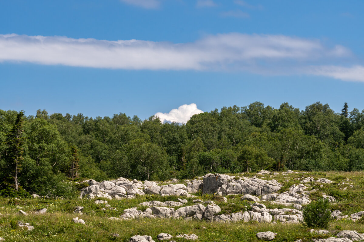 В Горах на высоте 2200 метров - Игорь Сикорский