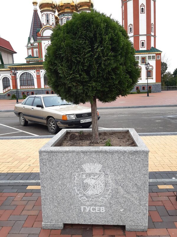 Гусев - Галина Минчук