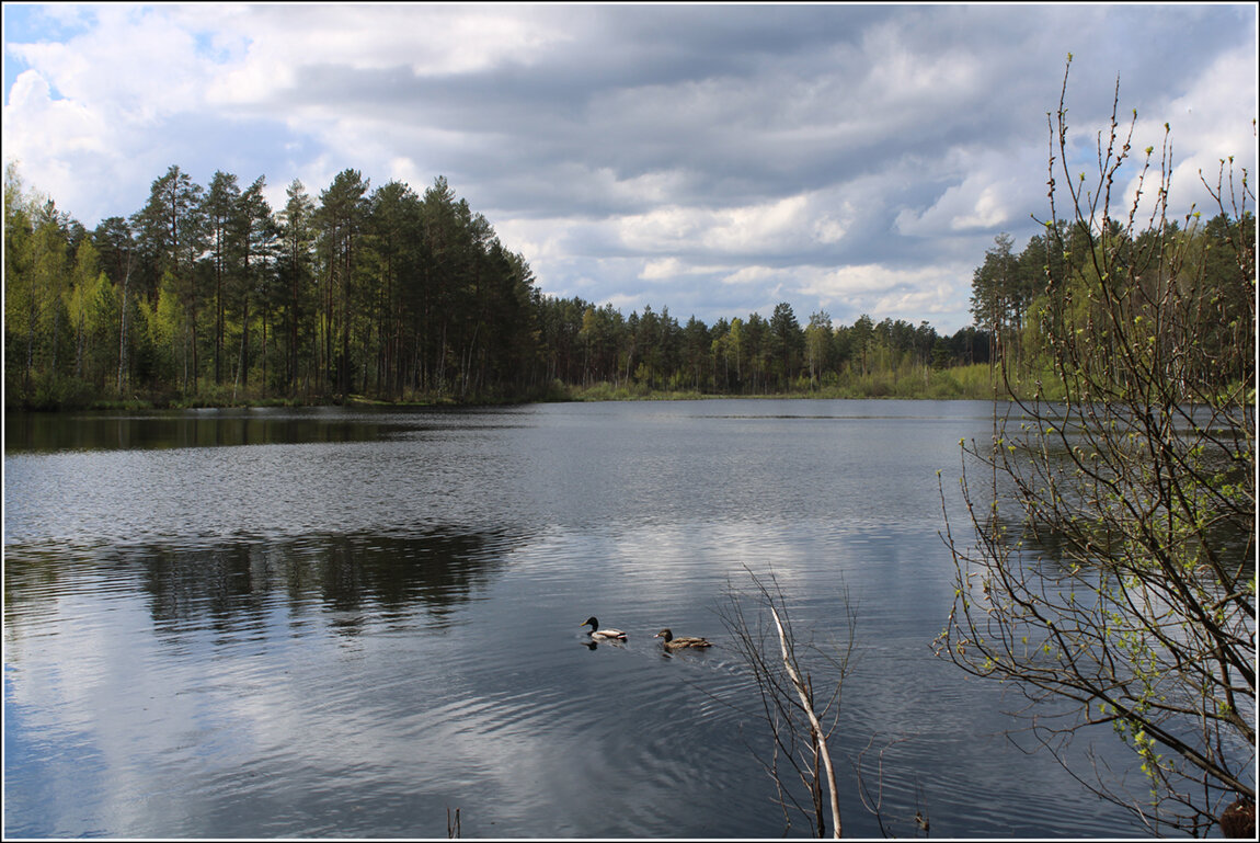 *** - Aleksandr Gal *** - Aleksandr Gal