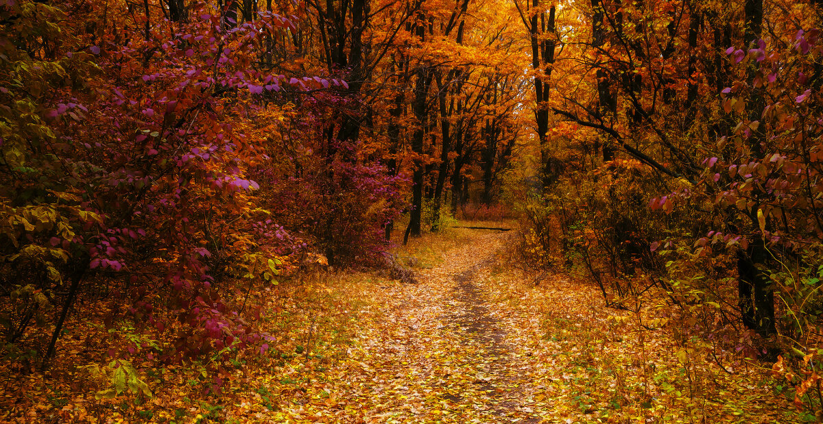 ... - Сергей Лысенко