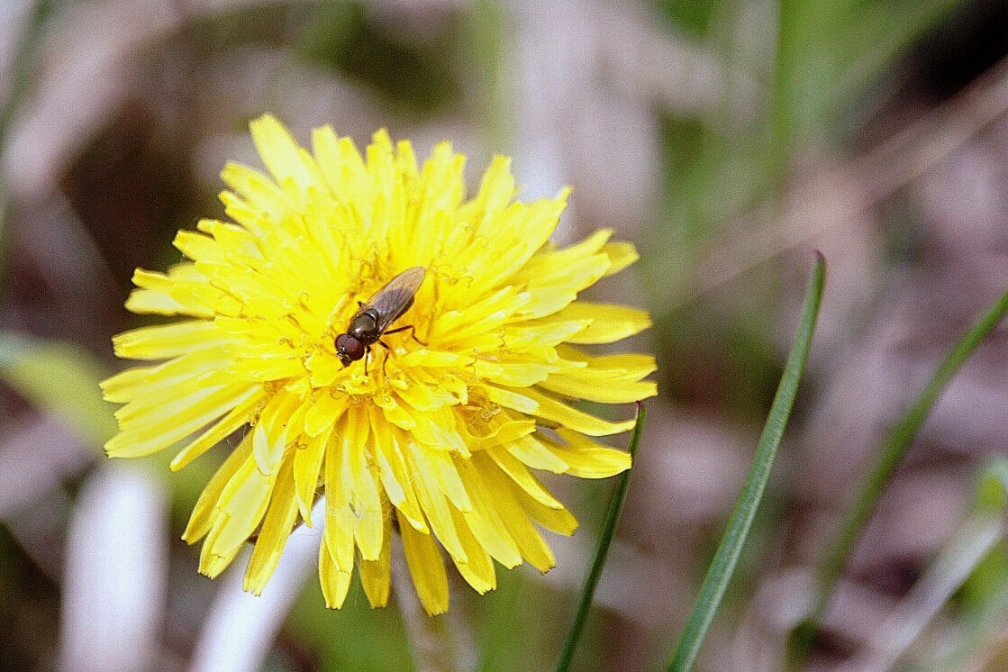 Обеденный перерыв. - Вячеслав. Синицын Обеденный перерыв. - Вячеслав. Синицын