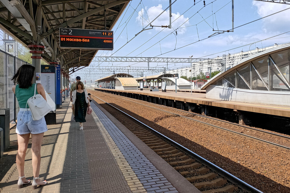 Поезд отправится по расписанию - Валерий Судачок