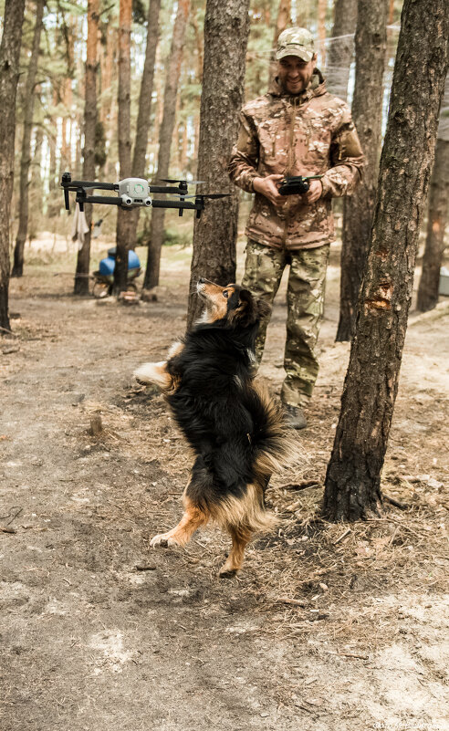 Из серии "Животные на войне". Боец Буся - Михаил 