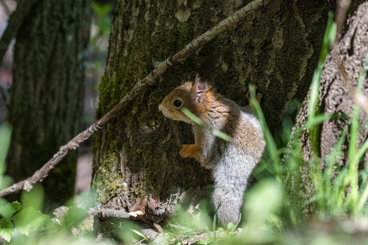 В прятки играть будем? - Анна Каткова 