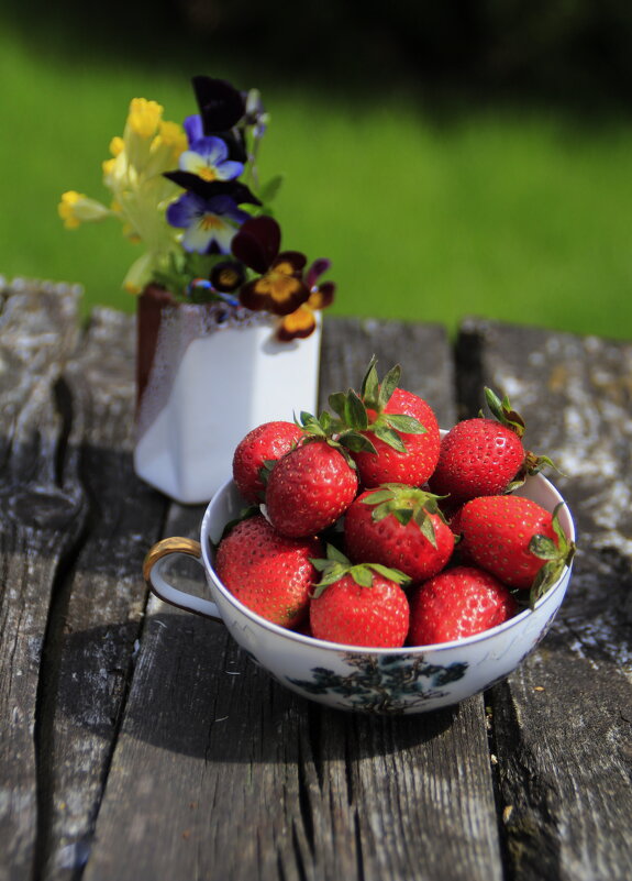 Майское Настроение.. - Татьян@ Ивановна Майское Настроение.. - Татьян@ Ивановна