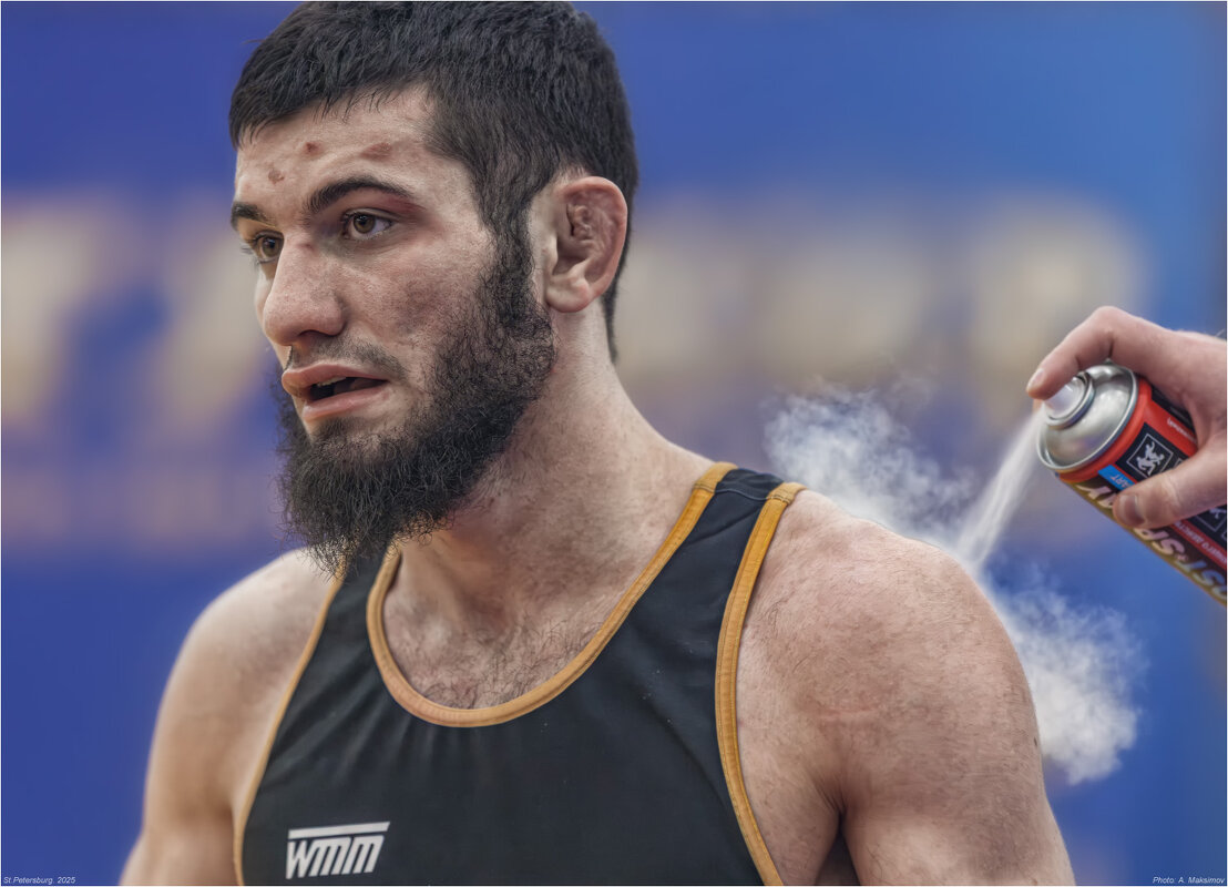 Вольник. - Александр Максимов Вольник. - Александр Максимов