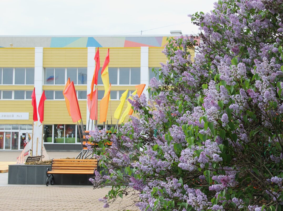 Мой город. - Венера Чуйкова