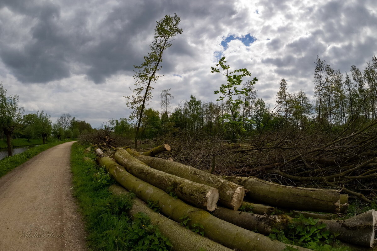 Мимо брёвен... - Николай Гирш Мимо брёвен... - Николай Гирш