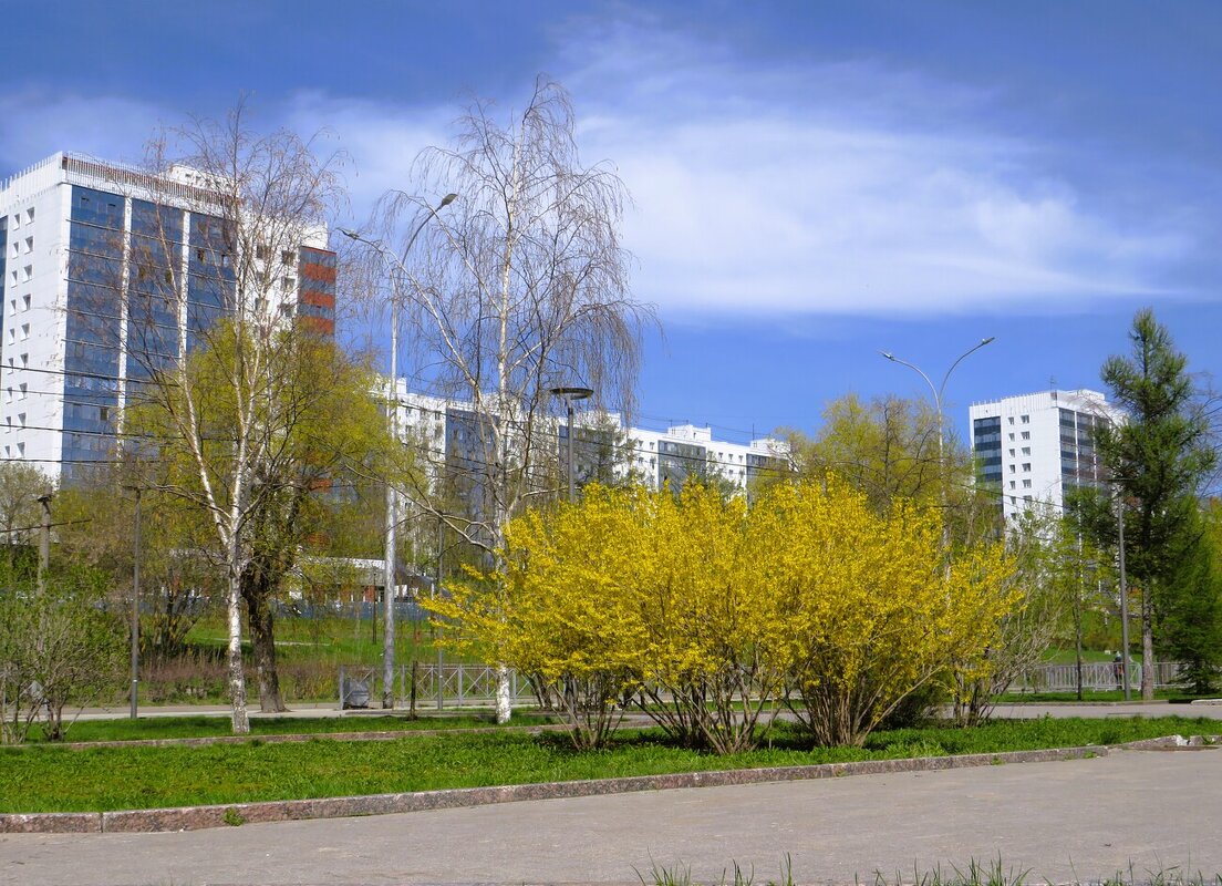 Цветущий май - Лариса С.