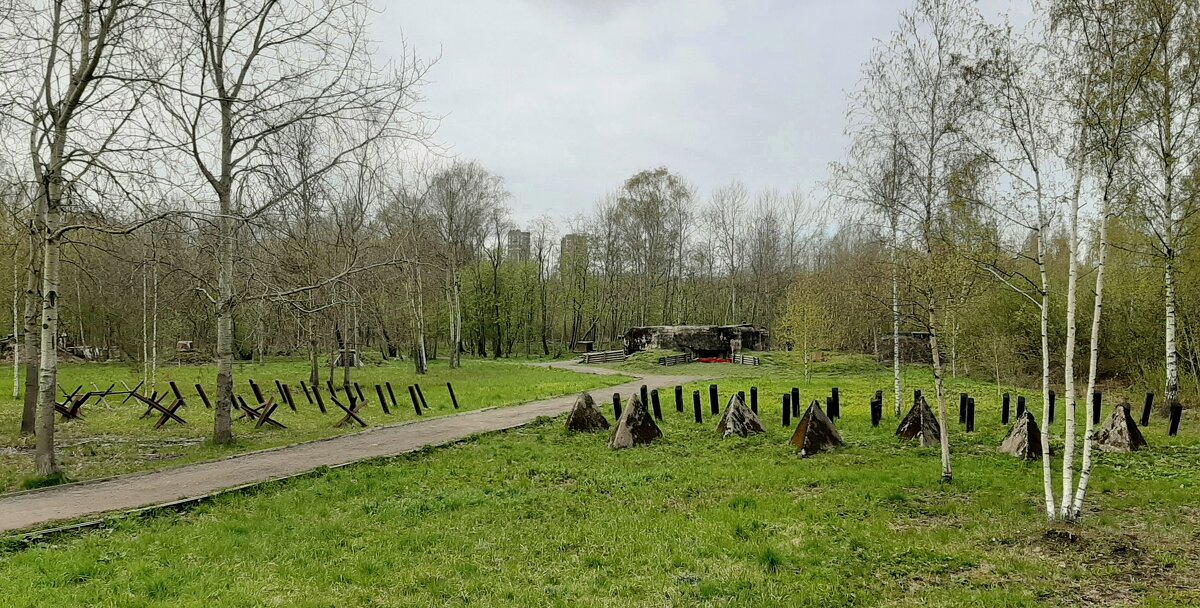 Участок оборонительного рубежа "Ижора" - Наталья Герасимова