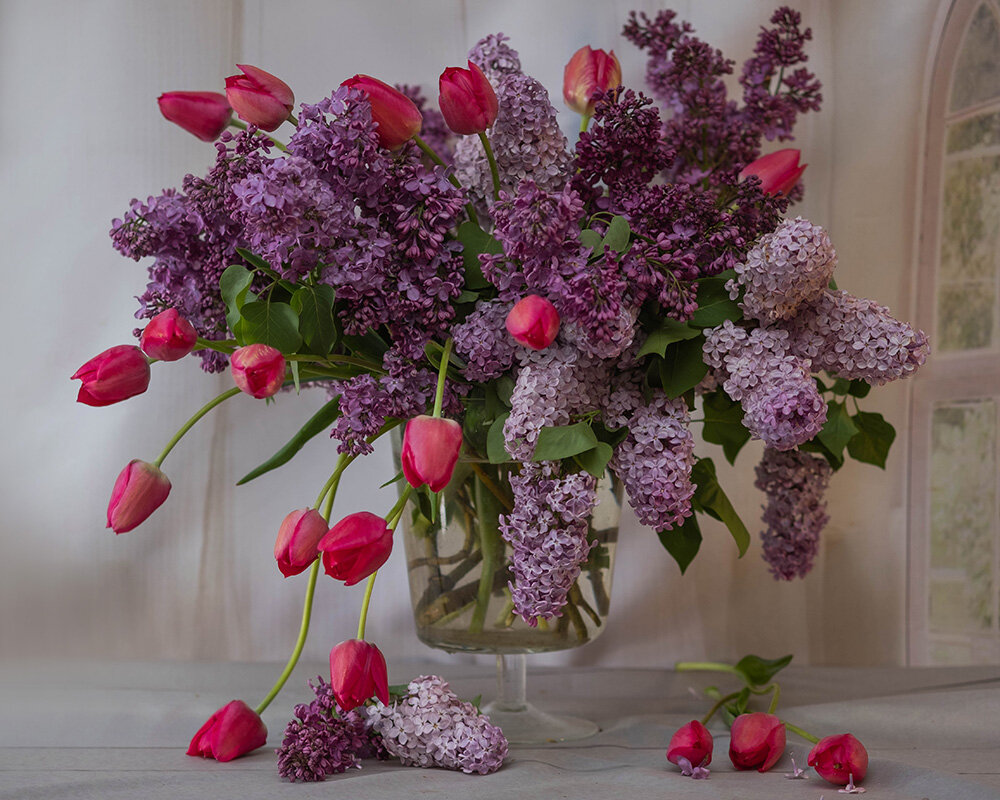 ... - Елена Ахромеева ... - Елена Ахромеева